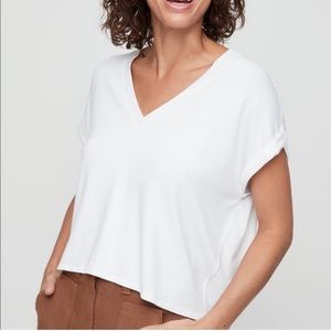 Aritzia Wilfred Free Brosh T-Shirt